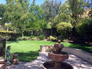 Artificial Grass Photos: Turf Grass Half Moon Bay, California Design Ideas, Backyard Landscaping