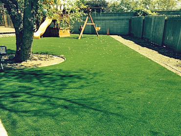 Artificial Grass Photos: Turf Grass Oakville, California Design Ideas, Beautiful Backyards