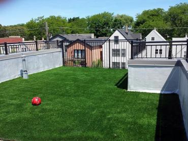 Artificial Grass Photos: Turf Grass Prunedale, California Dog Parks, Patio