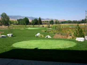 Artificial Grass Photos: Turf Grass Rancho Murieta, California Landscape Photos, Backyard Designs