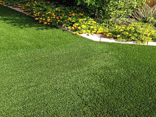 Artificial Grass Photos: Turf Grass Scotts Valley, California Backyard Playground, Front Yard Landscaping Ideas