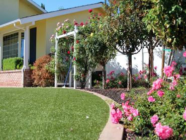 Artificial Grass Photos: Turf Grass Tuolumne City, California Lawn And Garden, Front Yard Landscaping Ideas