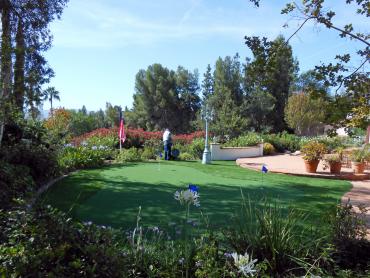 Artificial Grass Photos: Turf Grass Valley Springs, California Putting Green Turf, Backyard Makeover