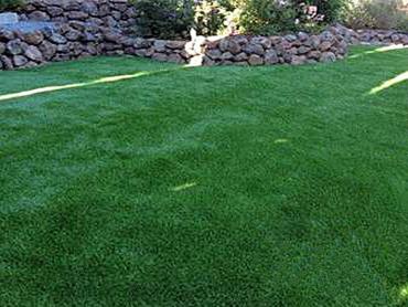 Artificial Grass Photos: Turf Grass Wilton, California Pet Paradise, Small Backyard Ideas