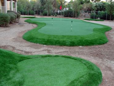 Turf Grass Zayante, California Putting Green Flags, Backyard Landscape Ideas artificial grass