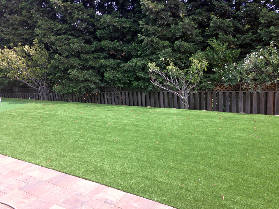 Synthetic Grass Mi-Wuk Village, California Landscape Ideas, Backyard Designs