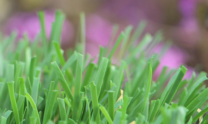 Artificial Grass Emerald-52 Artificial Grass San Jose California