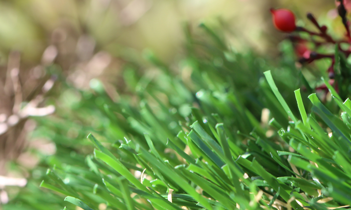 Artificial Grass Emerald-70 Artificial Grass San Jose California