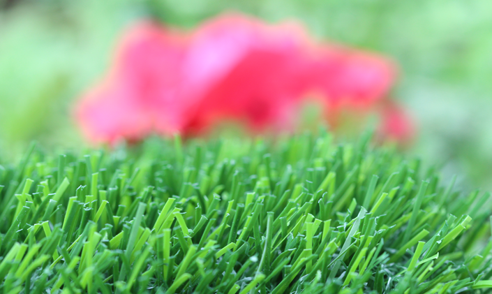 Artificial Grass Evergreen-80 Artificial Grass San Jose California