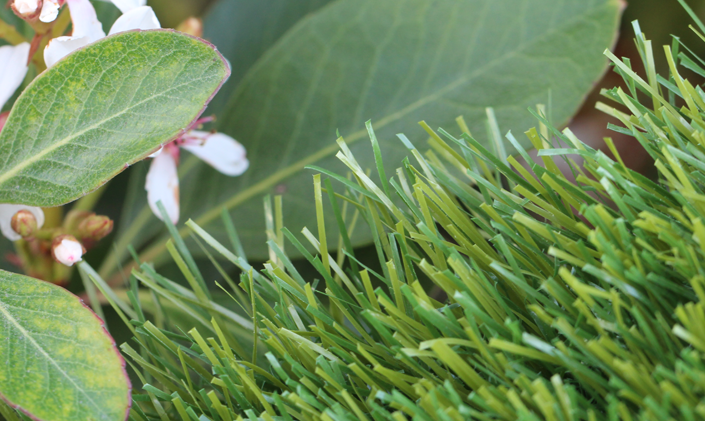 Artificial Grass Olive-60 Artificial Grass San Jose California