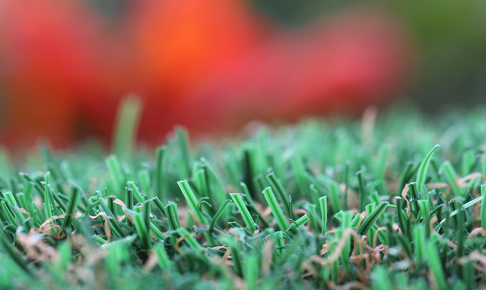 Artificial Grass Dog Run Turf