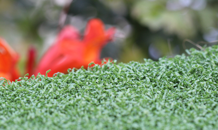 Artificial Grass Backyard Putting Green