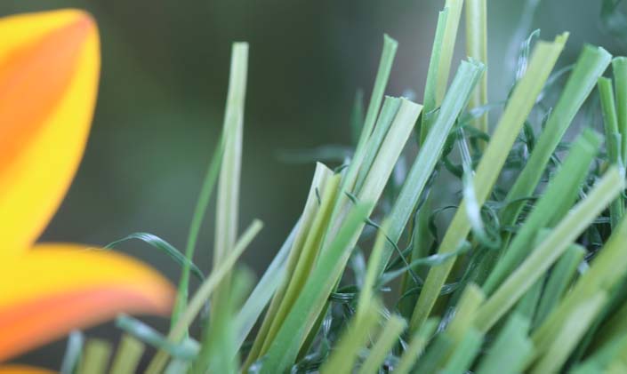 Artificial Grass S Blade-90 Green on Green Artificial Grass San Jose California