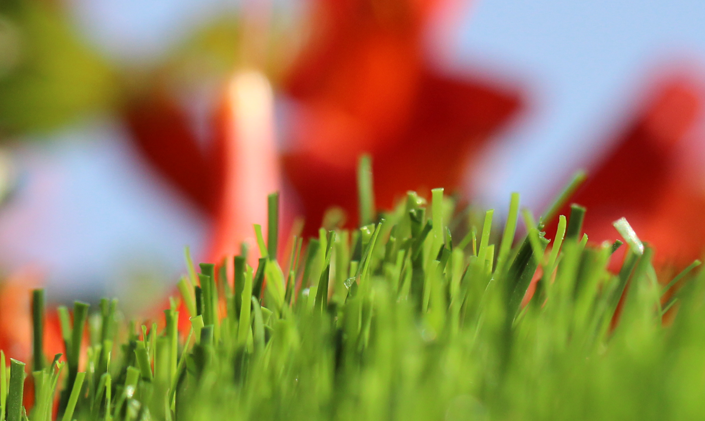 Artificial Grass Spring-60 Artificial Grass San Jose California