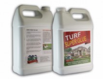 Artificial Turf Glue