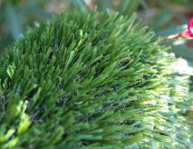 Artificial Lawn Turf