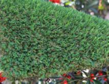 Artificial Grass United States