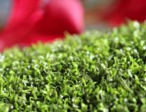 Indoor Putting Green