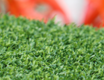 Side Yard Putting Green