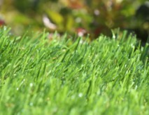 Buy Artificial Turf