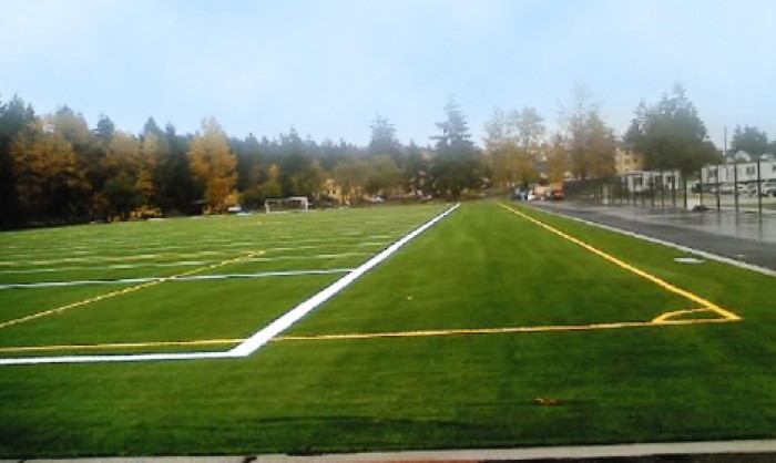 Sports Fields Synthetic Grass in San Jose and San Jose area